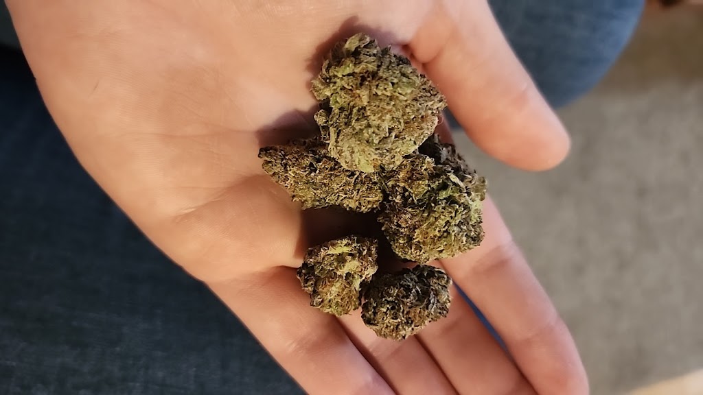 High Rollers Cannabis | 36 Big Cove Rd, Elsipogtog First Nation, NB E4W 2S4, Canada | Phone: (506) 521-0329