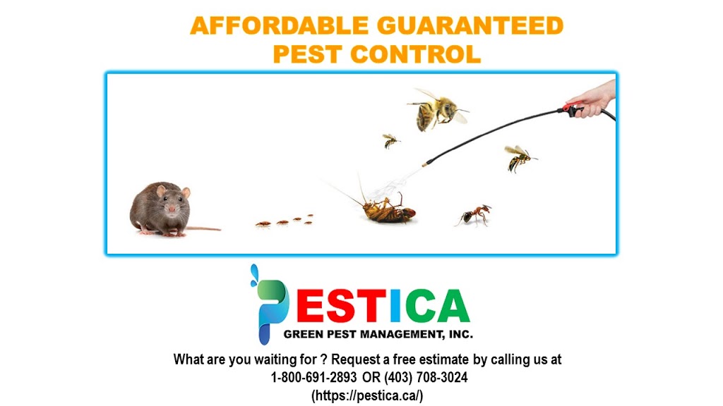 Pestica Green Pest Control | 12790 Coventry Hills Way NE, Calgary, AB T3K 5E2, Canada | Phone: (800) 691-2893