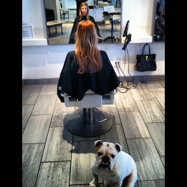 Myne Salon | 1363 56 St #1, Delta, BC V4L 2P7, Canada | Phone: (604) 943-9388