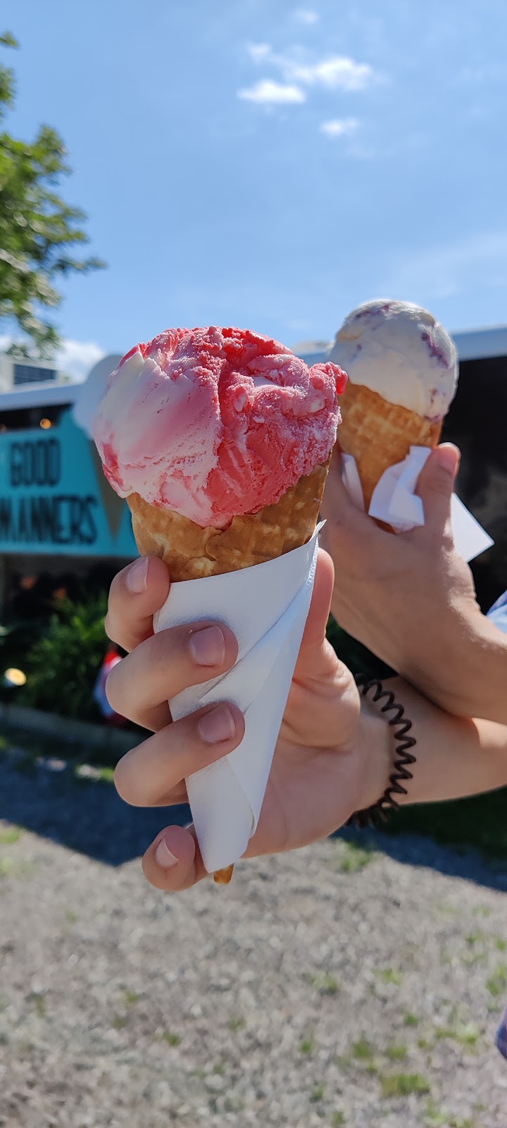 Good Manners Ice Cream | 4022 Victoria Ave, Vineland, ON L0R 2C0, Canada | Phone: (905) 981-7653