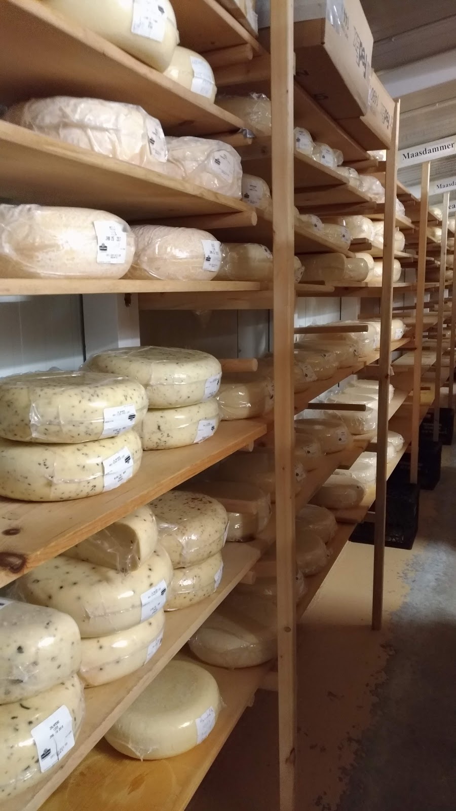 Grass Root Dairies | 1470 50 St SW, Salmon Arm, BC V1E 3B5, Canada | Phone: (250) 832-4274