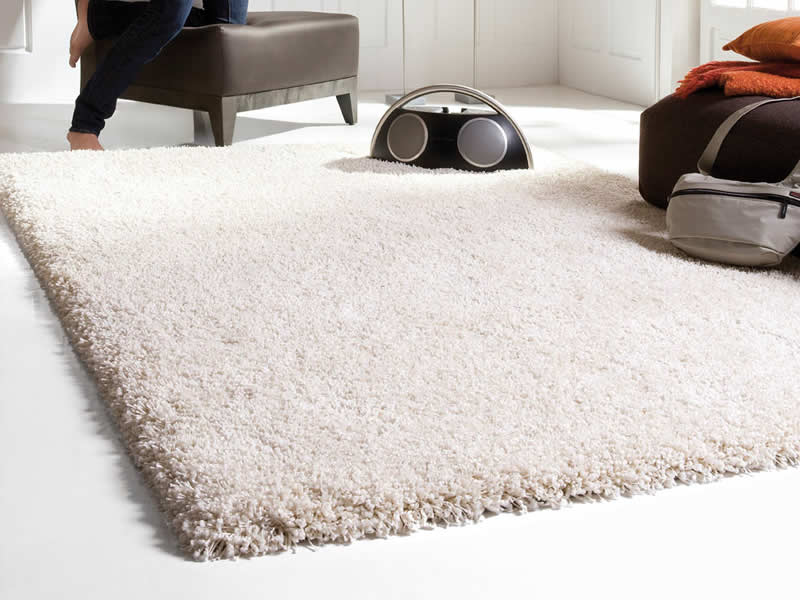 Fresh Maple Cleaning Services | 2334 Wyecroft Rd B5, Oakville, ON L6L 6M7, Canada | Phone: (416) 876-2712