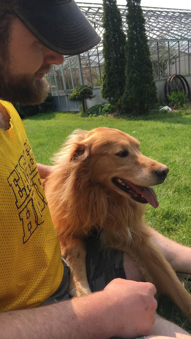 Danas Dog Care | Hobson Rd, Central Elgin, ON N5P 3S6, Canada | Phone: (226) 374-4921