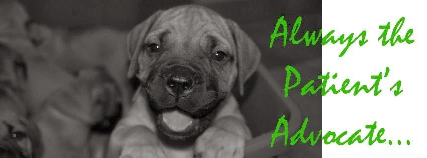 Orchard Park Veterinary Medical Center | 3930 N Buffalo St, Orchard Park, NY 14127, USA | Phone: (716) 662-6660