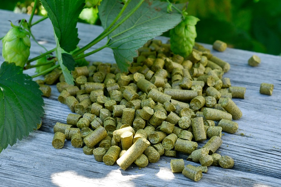 Pleasant Valley Hops | 18683 Loyalist Pkwy, Hillier, ON K0K 2J0, Canada | Phone: (613) 921-1362