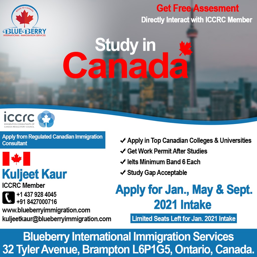 Blueberry International Immigration Services | 32 Tyler Ave, Brampton, ON L6P 1G5, Canada | Phone: (437) 928-4045