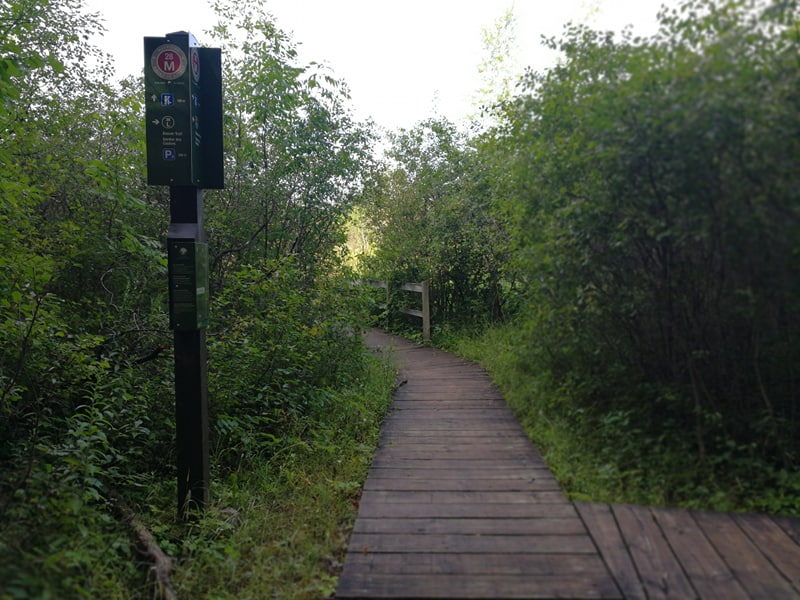 Beaver Trail | Moodie Dr, Nepean, ON K2R 1H8, Canada