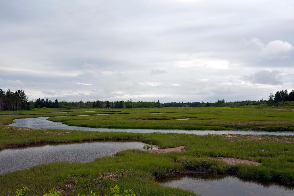 Camp Tidnish | 130 Irwins Point Rd, Baie Verte, NB E4M 1H5, Canada | Phone: (902) 453-6000 ext. 227