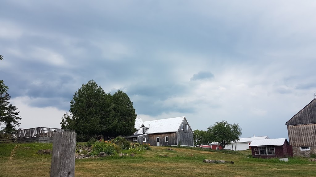 Dog Ranch Inc | 6361 Fourth Line Rd, North Gower, ON K0A 2T0, Canada | Phone: (613) 297-9871