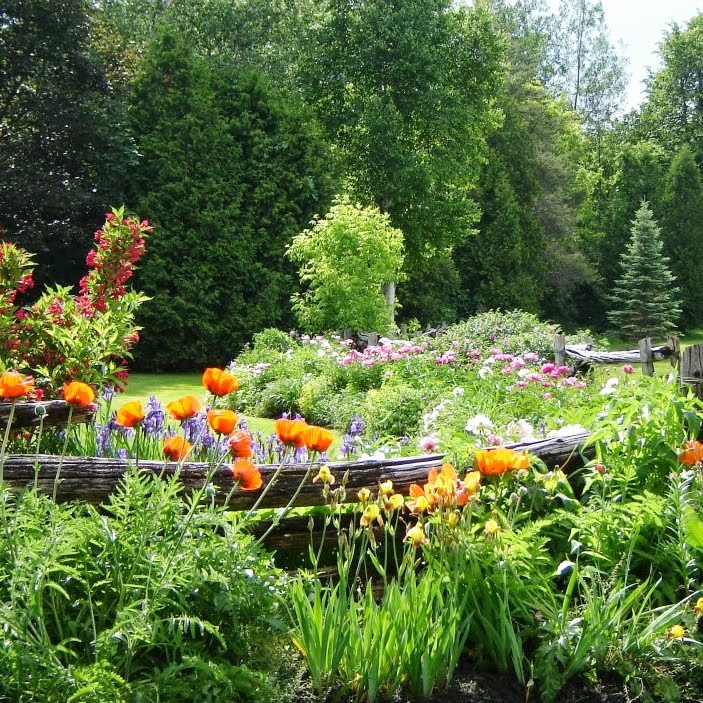 Penney Gardens Nursery | 133 Rue Main, Saint-Lazare, QC J7T 2H9, Canada | Phone: (450) 458-5546