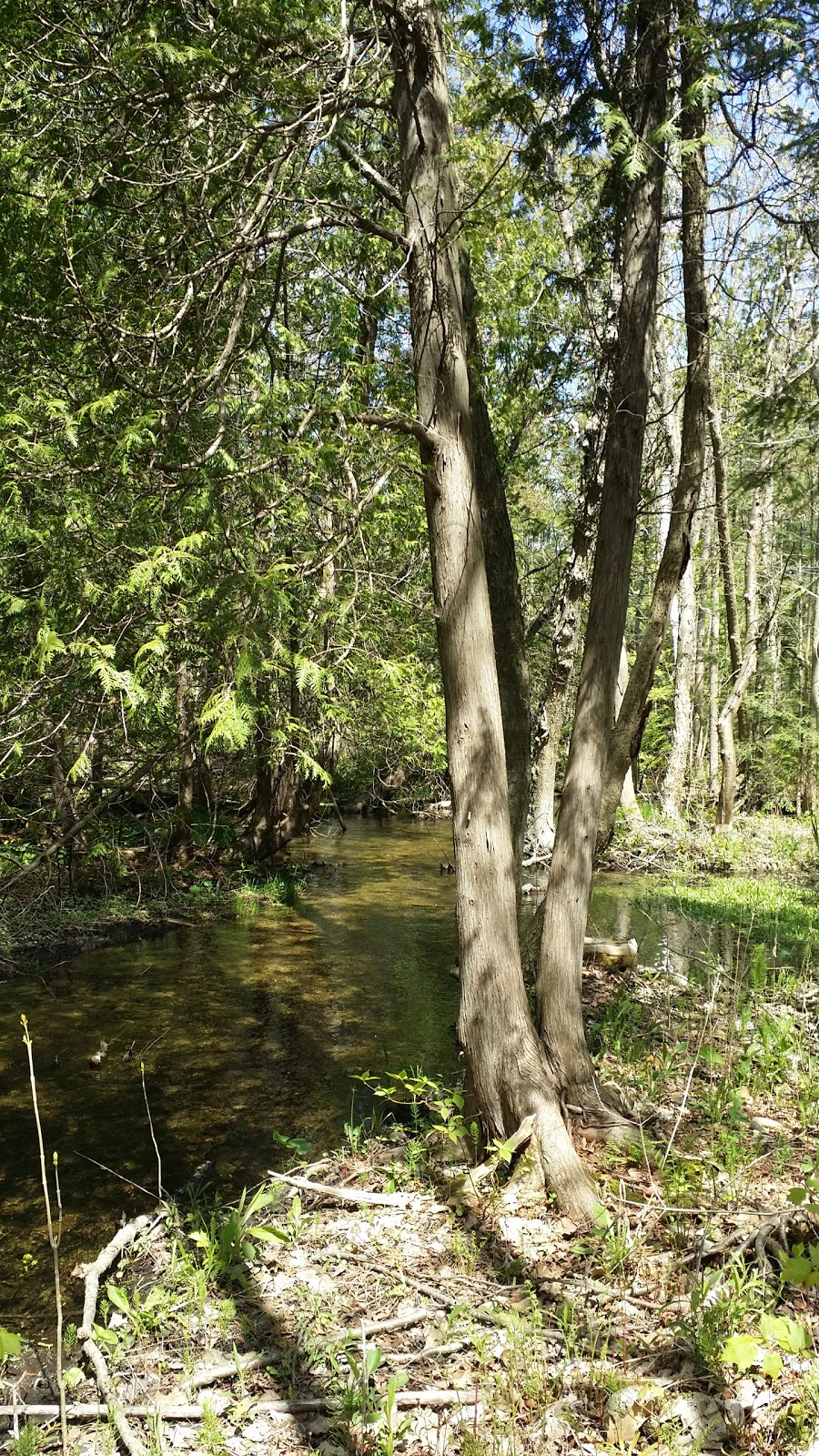 Campbellville Conservation Area | 46 McLaren Rd, Milton, ON L0P, Canada