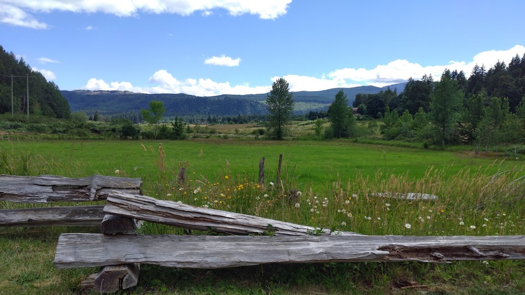 Tseshaht First Nation | c̓išaaʔatḥ | 7641 Pacific Rim Hwy, Port Alberni, BC V9Y 8Y5, Canada | Phone: (250) 724-1236