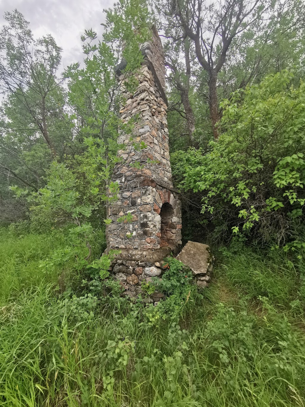 Buffalo View Campground | Unnamed Road, 1P0, Findlater, SK S0H 4C0, Canada | Phone: (306) 693-7453