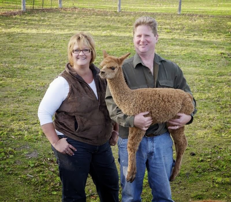 1 Stop Alpaca Farm | 1857 Durham Road #3 WE HAVE MOVED AND, DO NOT OFFER TOURS, Hampton, ON L0B 1J0, Canada | Phone: (905) 261-4240