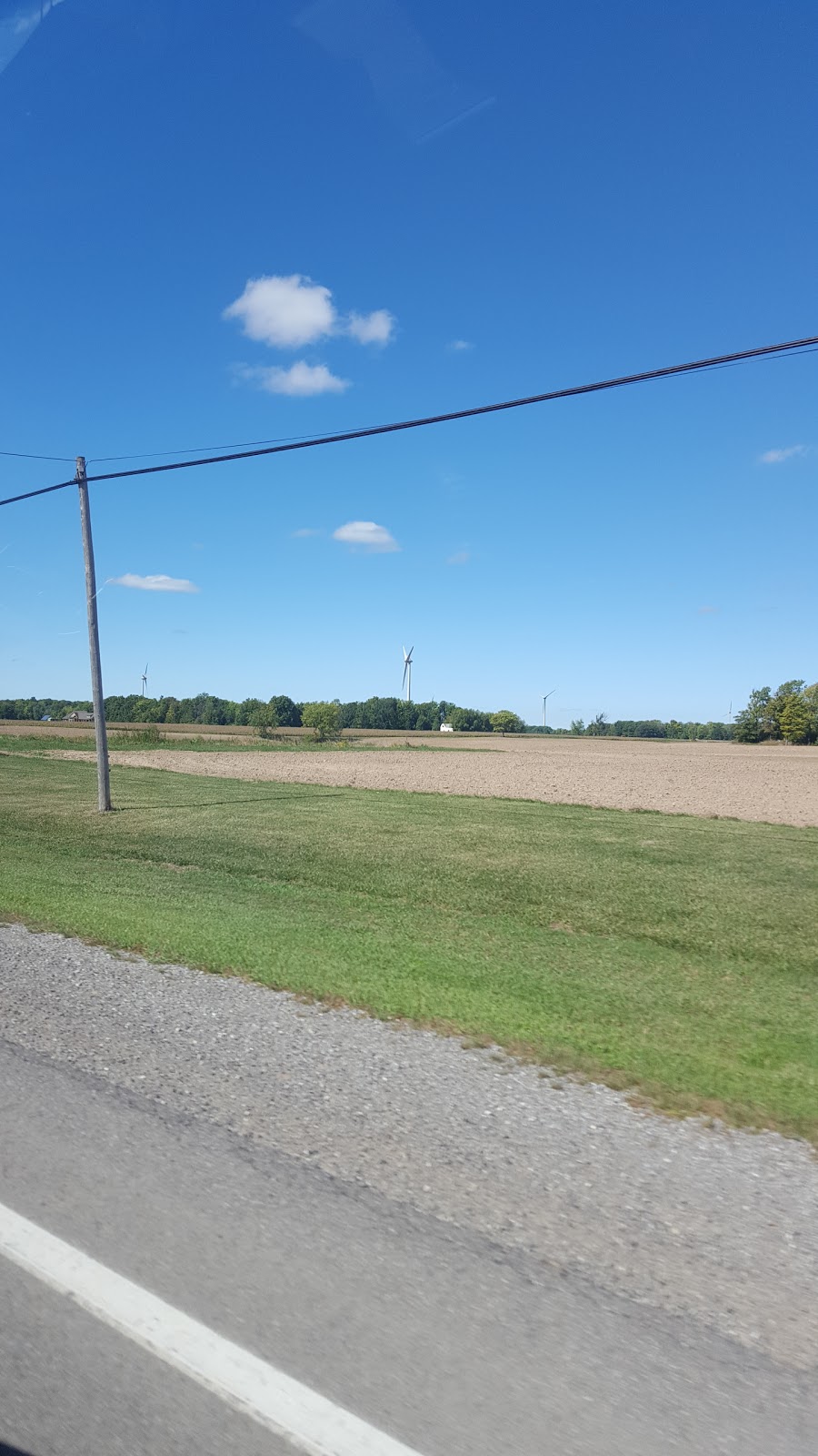 Troups Trees Inc. | 4325 Canborough Rd, Wellandport, ON L0R 2J0, Canada | Phone: (905) 321-1533