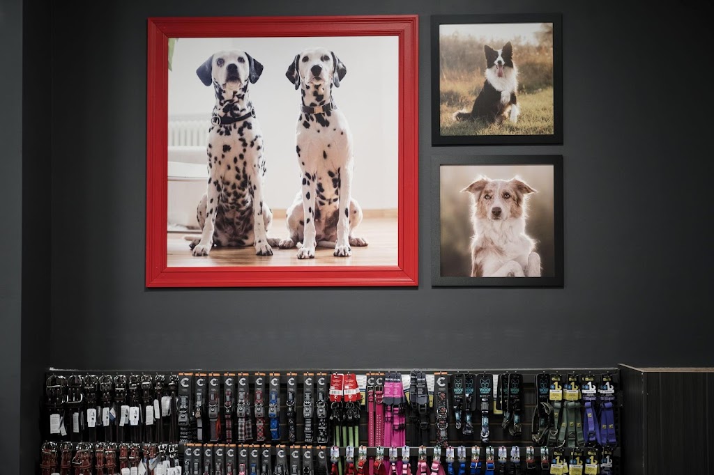 Mondou | 814 Bd de lAnge Gardien N Local 106, LAssomption, QC J5W 1P6, Canada | Phone: (450) 589-3410