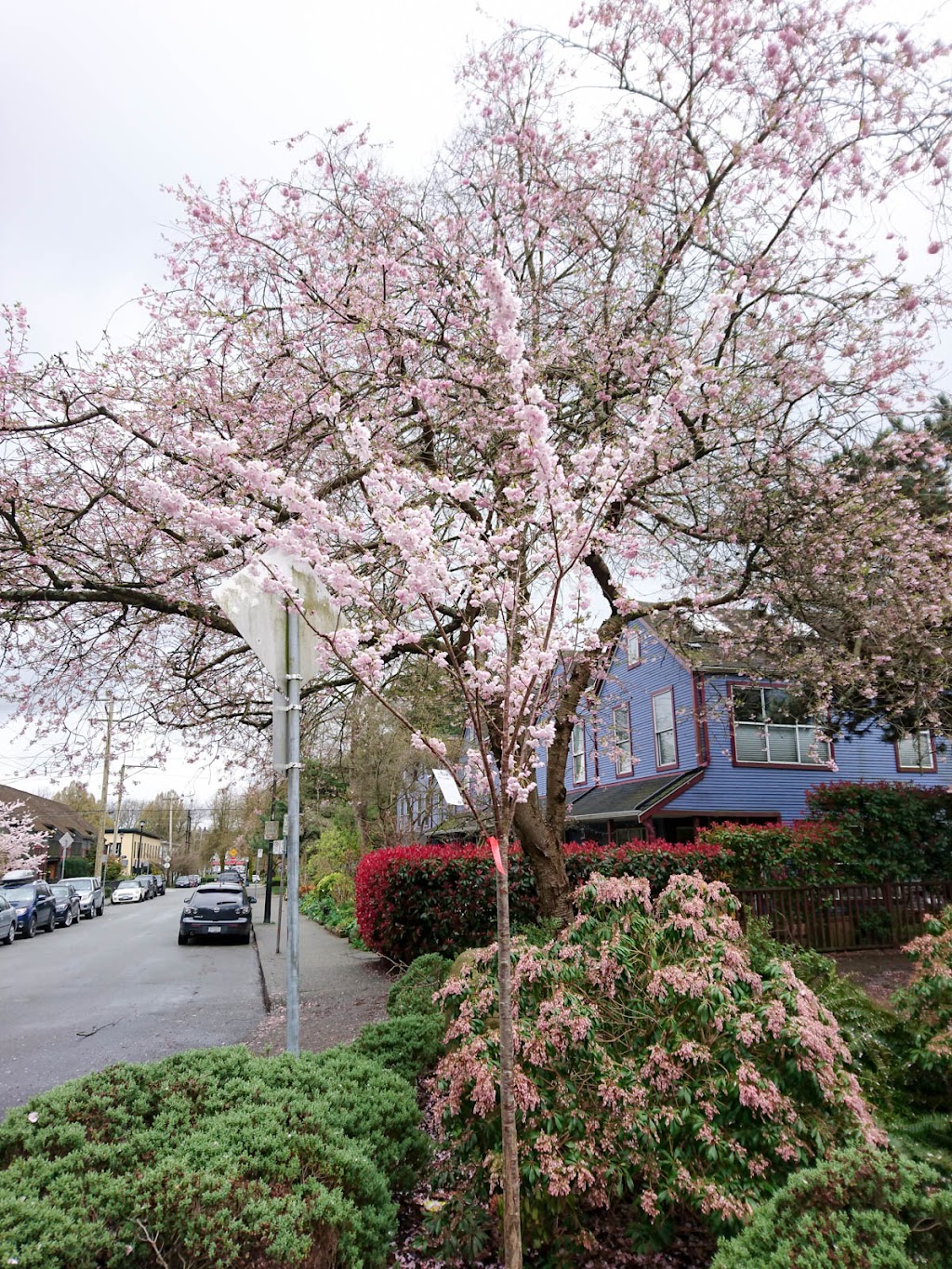 Strathcona Linear Park | 787 Prior St, Vancouver, BC V6A 2G8, Canada | Phone: (604) 257-8158