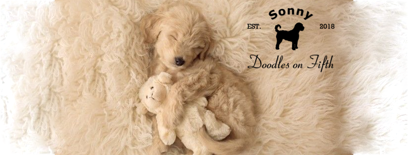 Sonny Doodles on Fifth | 8921 Fifth Line, Georgetown, ON L7G 4S6, Canada | Phone: (905) 873-8758