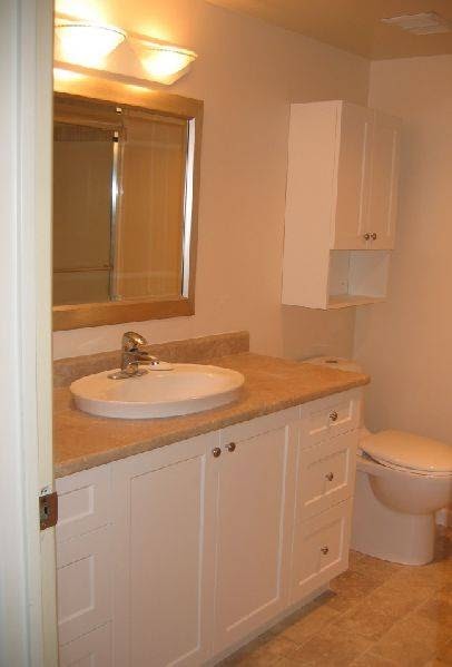 Phil The Handyman | 1625 Fort St, Victoria, BC V8R 6N4, Canada | Phone: (250) 516-1960