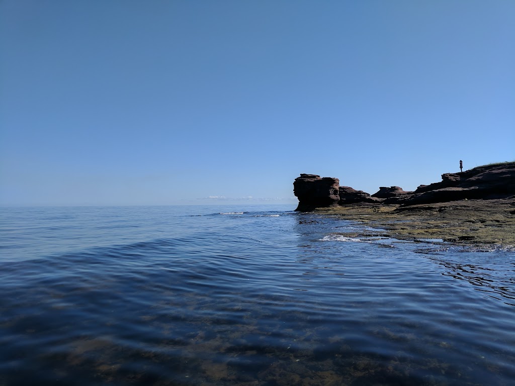 Sea Tide Ground Fish Plant | 45 Rue Cormier, Cap-Pelé, NB E4N 1N8, Canada | Phone: (506) 577-6733