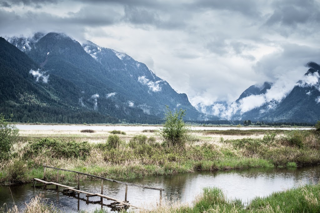 Pitt Polder Ecological Reserve | Pitt Meadows, BC V3Y, Canada