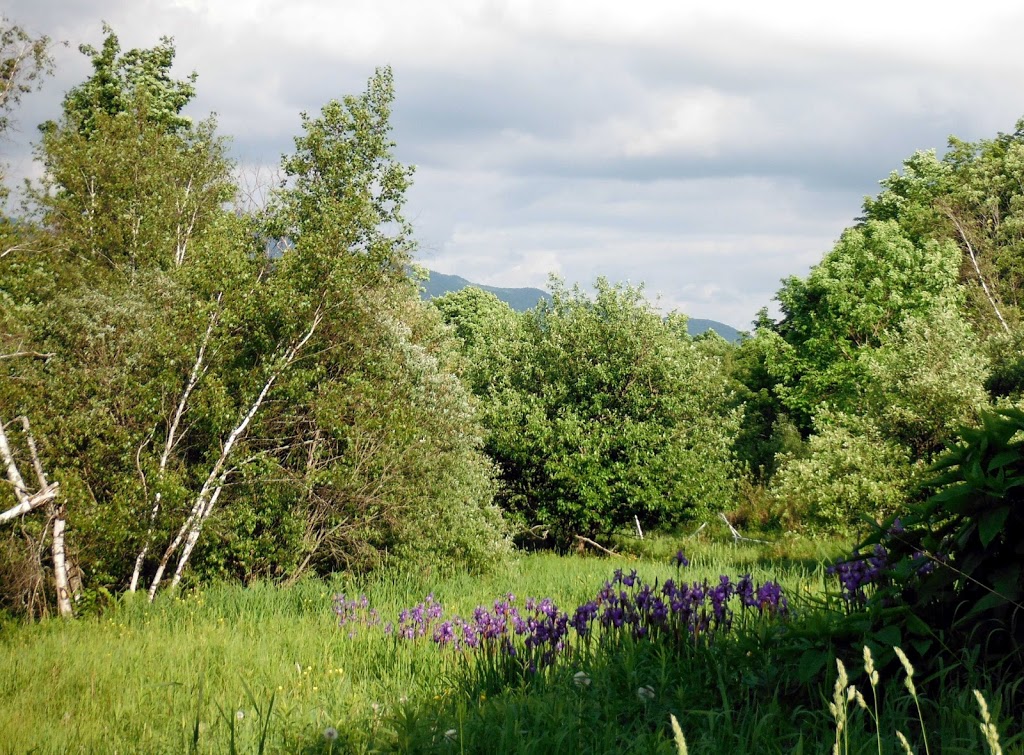 Les Charmilles dOrford | 22 Chemin des Castors, Eastman, QC J0E 1P0, Canada | Phone: (450) 297-1007