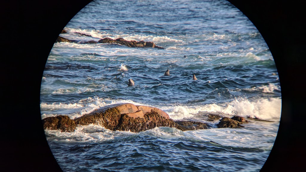 Duncans Cove Nature Reserve | Duncans Cove, NS B3V 1K4, Canada