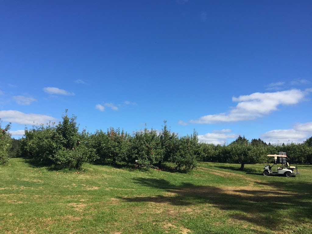 JC Agri Orchards | 3105 16th Sideroad, King City, ON L7B 1A3, Canada | Phone: (705) 817-0943