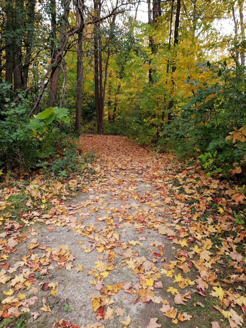 Richvale Greenway Park | Unnamed Road, Richmond Hill, ON L4C 5J2, Canada