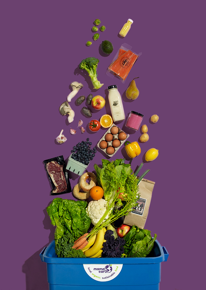 Mama Earth Organics | 19 Waterman Ave, East York, ON M4B 1Y2, Canada | Phone: (416) 850-8662