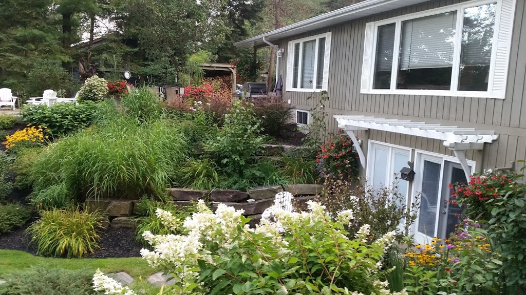 Muskoka Guest Nest | 872 N Mary Lake Rd, Huntsville, ON P1H 1S4, Canada | Phone: (705) 349-8139