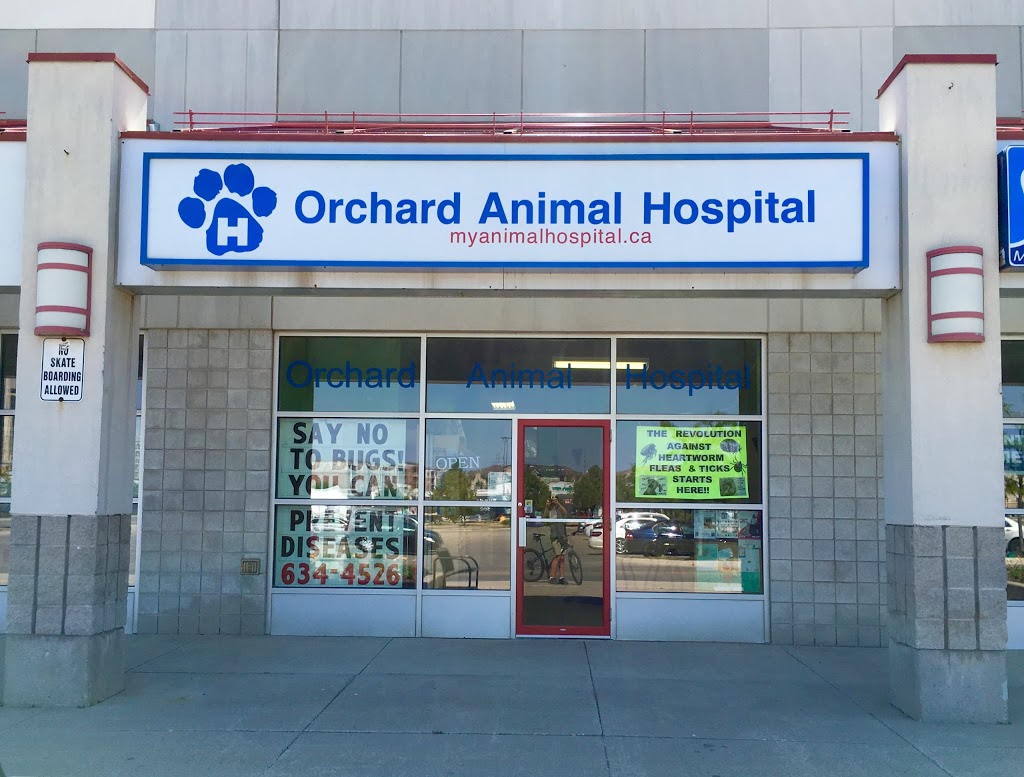 Orchard Animal Hospital | 2020 Appleby Line, Burlington, ON L7L 6M6, Canada | Phone: (905) 634-4526