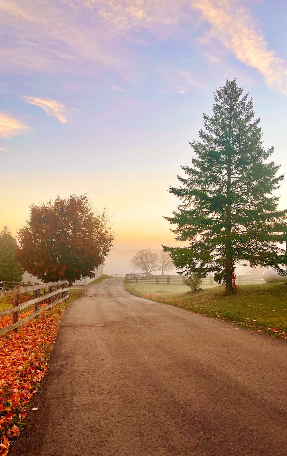 Manoor Meadows | 2331 Adjala Concession Rd 2, Palgrave, ON L0N 1P0, Canada | Phone: (647) 270-0569