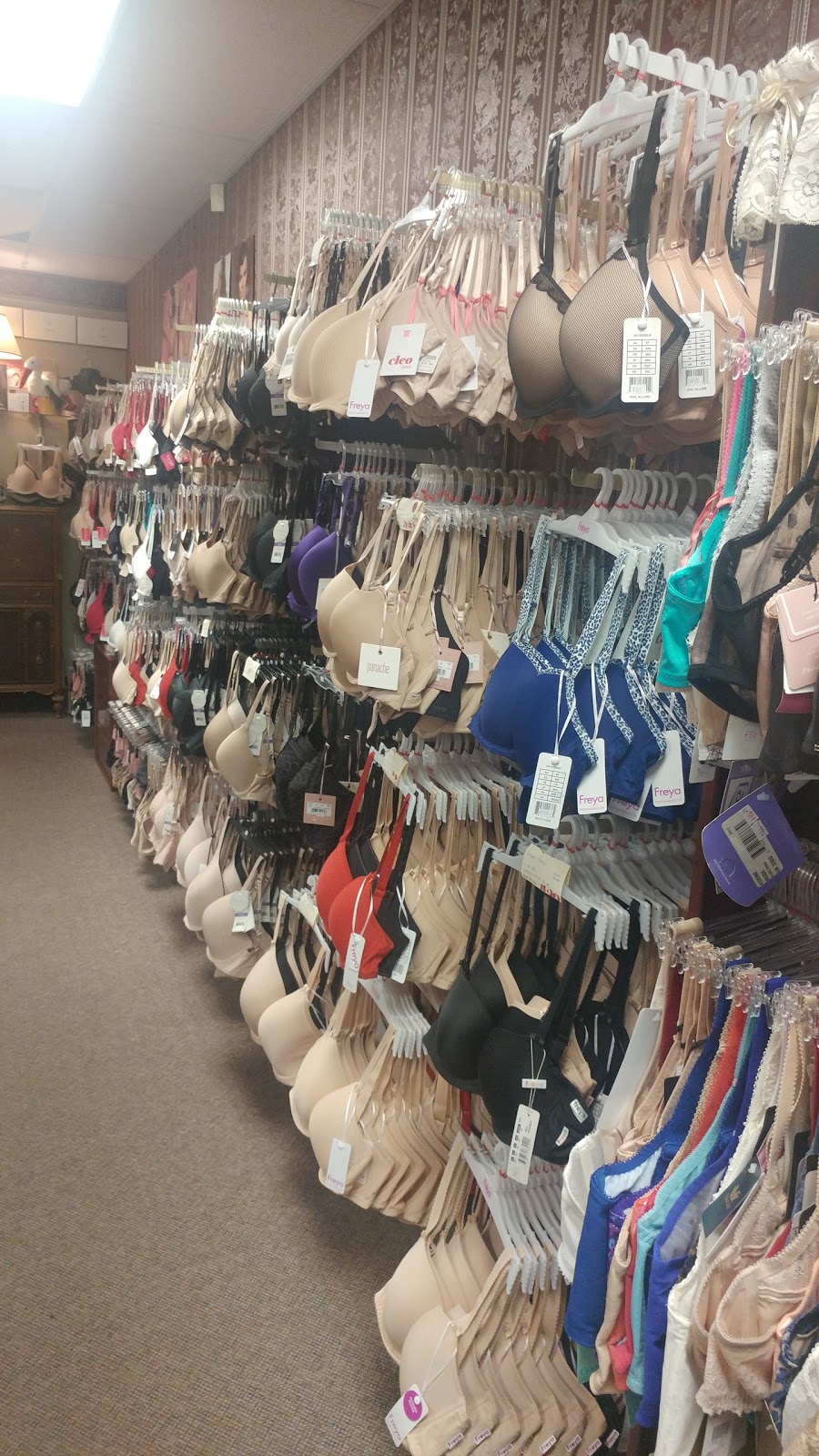 The Delicate Touch | 3877 Dougall Ave, Windsor, ON N9G 1X3, Canada | Phone: (519) 972-9675