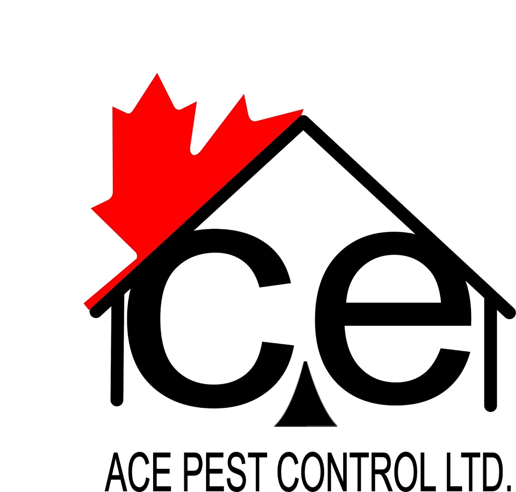 Ace Pest Control Ltd. Abbotsford Chilliwack Mission | 35737 Zanatta Pl, Abbotsford, BC V3G 0B4, Canada | Phone: (778) 872-2223