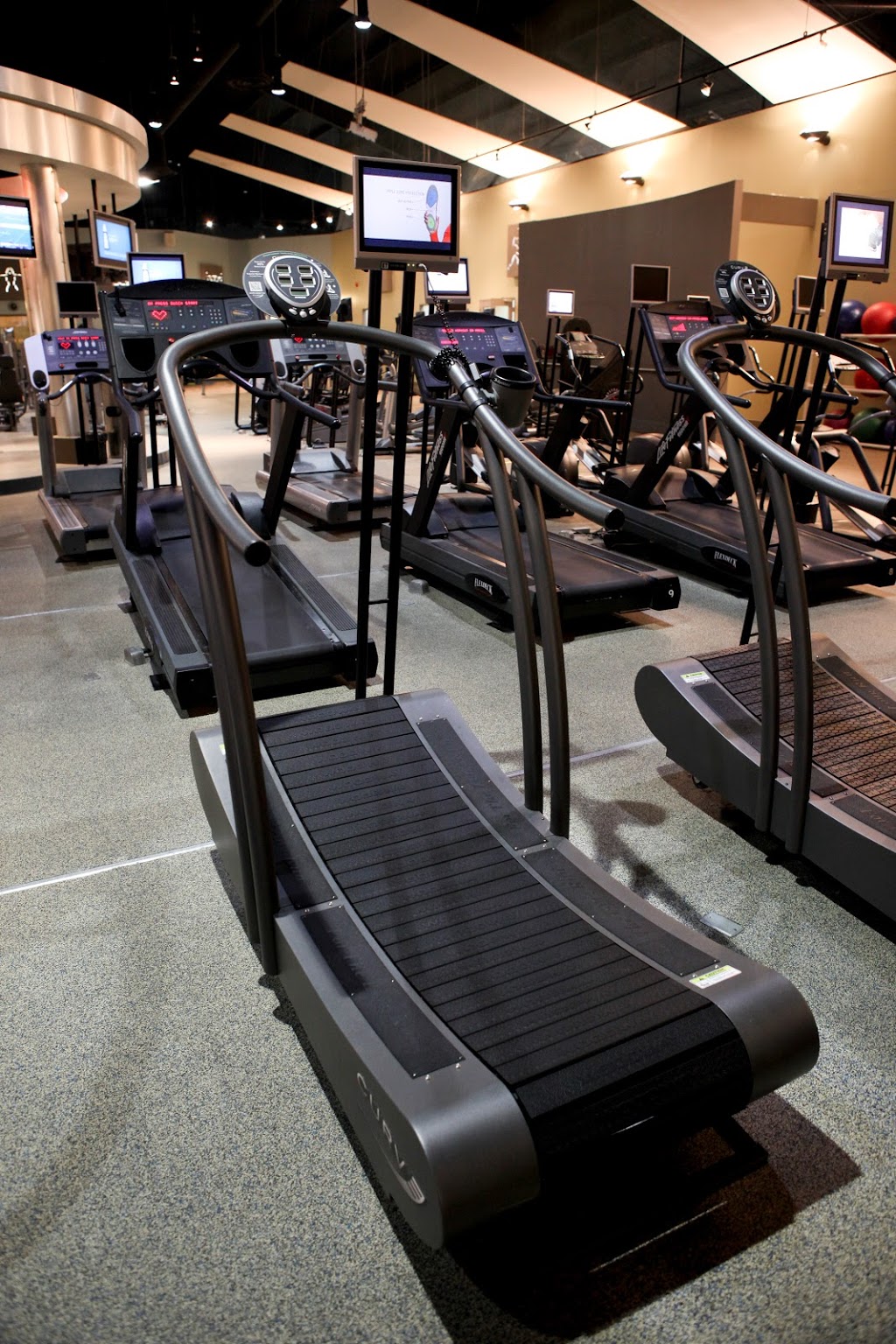 Mayfair Clubs | 801 Lake Shore Blvd E, Toronto, ON M4M 1A9, Canada | Phone: (416) 466-3777