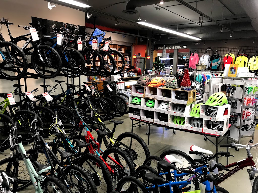 Cycle Therapy Bicycles | 360 Duncan St #102, Duncan, BC V9L 3W4, Canada | Phone: (250) 597-0097