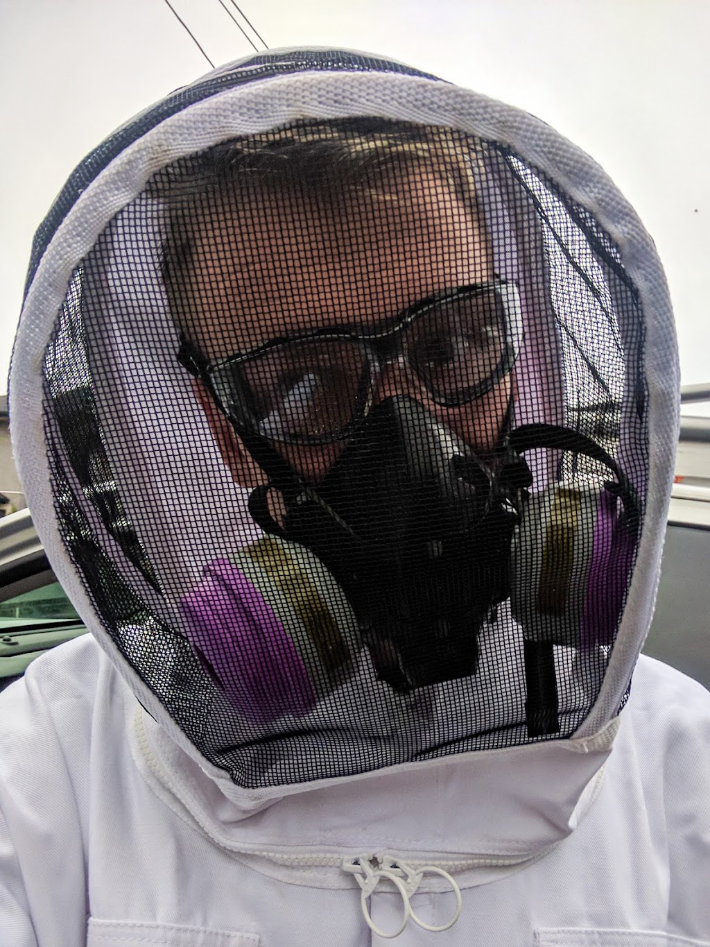 All Green Pest Control Ltd. | 7228 Winston St #2, Burnaby, BC V5A 2G9, Canada | Phone: (604) 990-0100