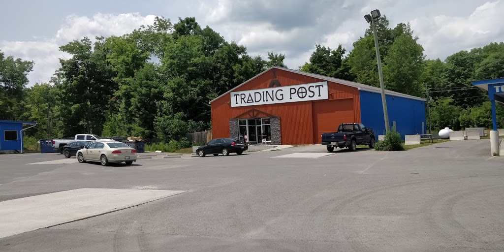 Terrys Gas And Variety | 1420 Mississauga St, Curve Lake, ON K0L, Canada | Phone: (705) 657-1998