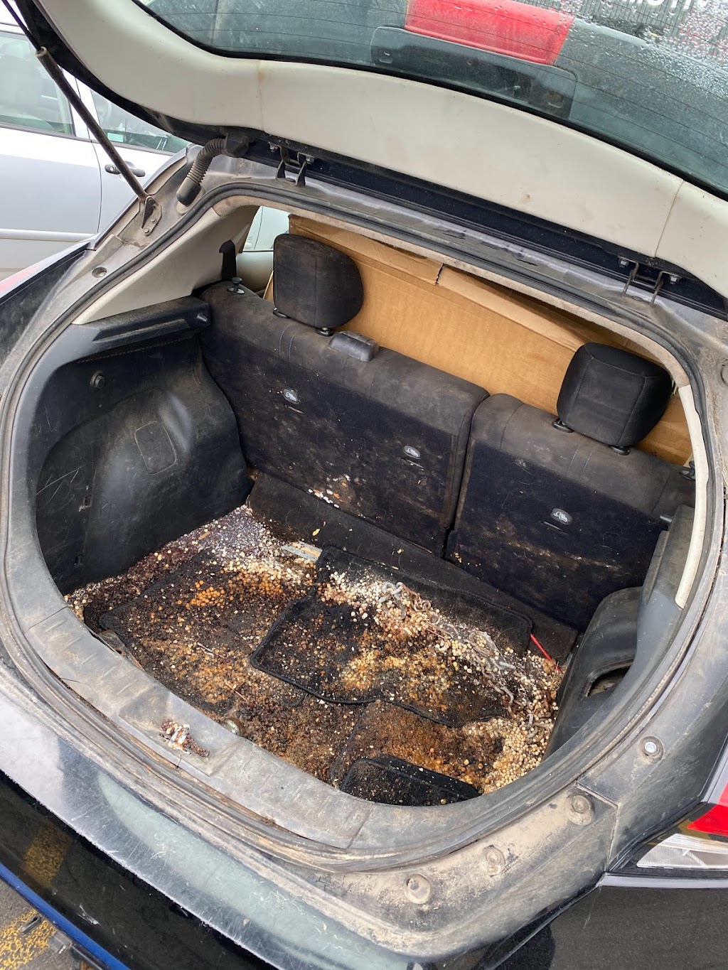 Excellent auto body and detail shop | 12851 No 5 Rd, Richmond, BC V7A 4E9, Canada | Phone: (604) 785-7245