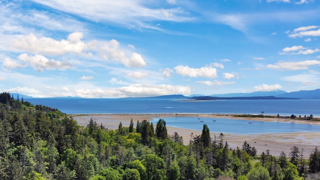 Comox Homes Real Estate John Berry | 1486 Balmoral Ave, Comox, BC V9M 2P6, Canada | Phone: (778) 992-2977