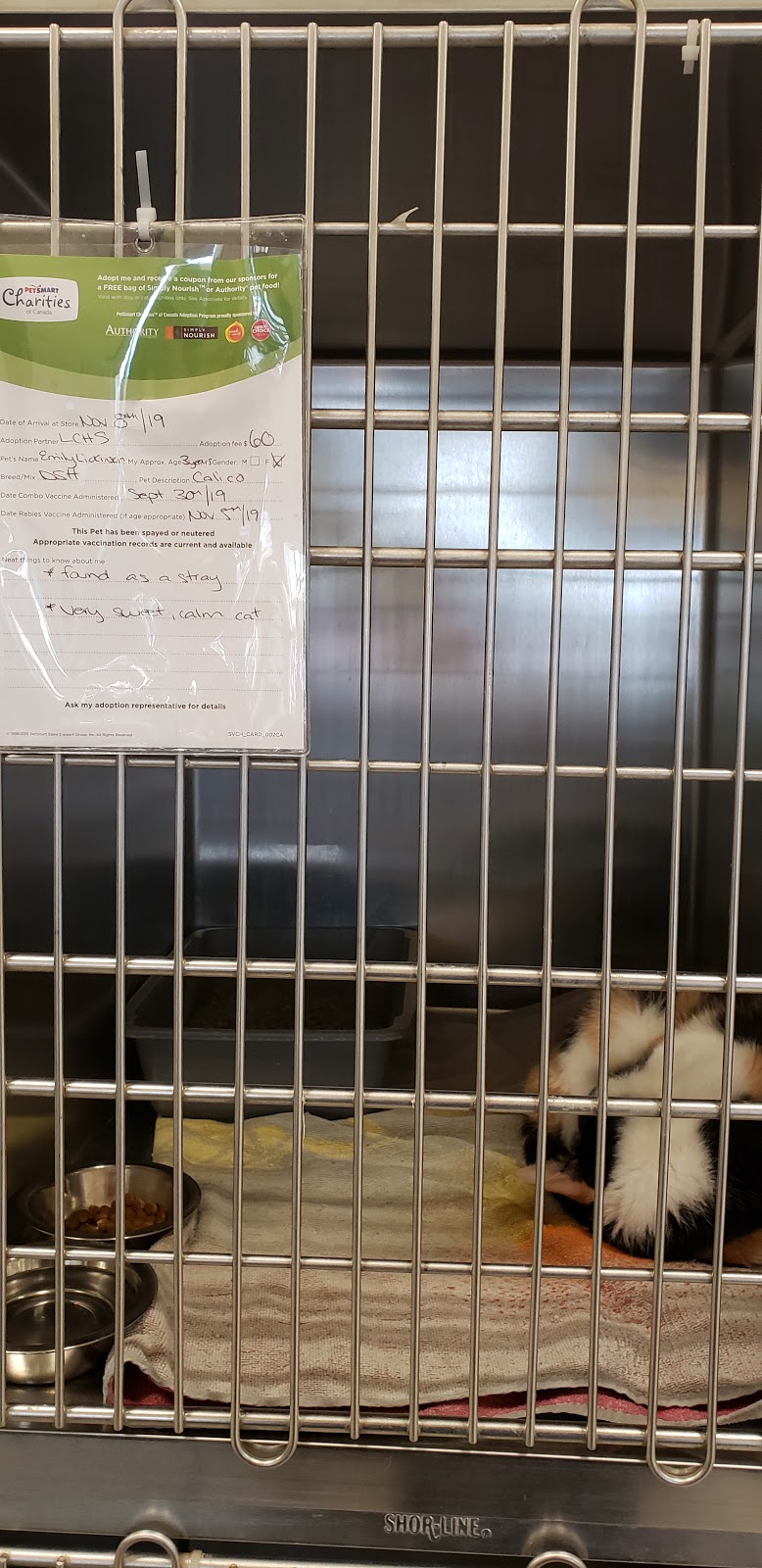 PetSmart | 285 Geneva St G5, St. Catharines, ON L2N 2E9, Canada | Phone: (905) 378-0500