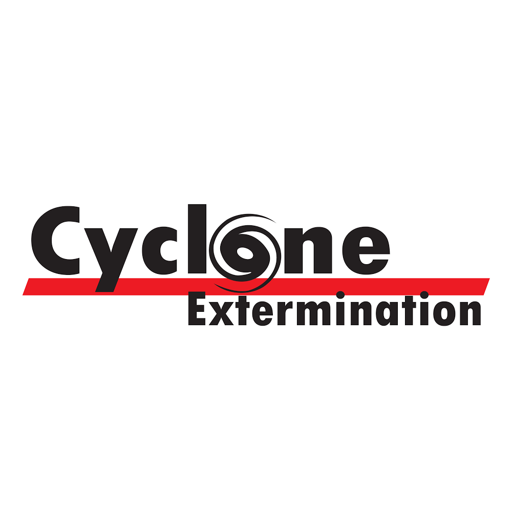 Cyclone Extermination Souris Longueuil Exterminateur Fourmis-Guê | 1025 Rue Sainte-Hélène, Longueuil, QC J4K 3S1, Canada | Phone: (450) 463-1816