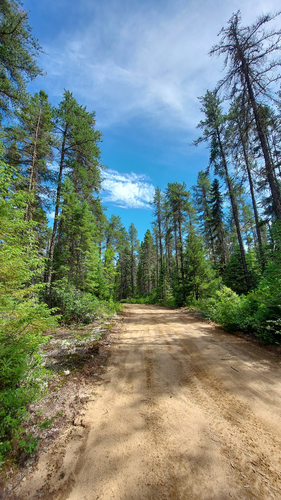 La Pourvoirie du lac Oscar | 1 Rte Forestière ro-461(25), La Tuque, QC G9X 2P2, Canada | Phone: (514) 939-3673