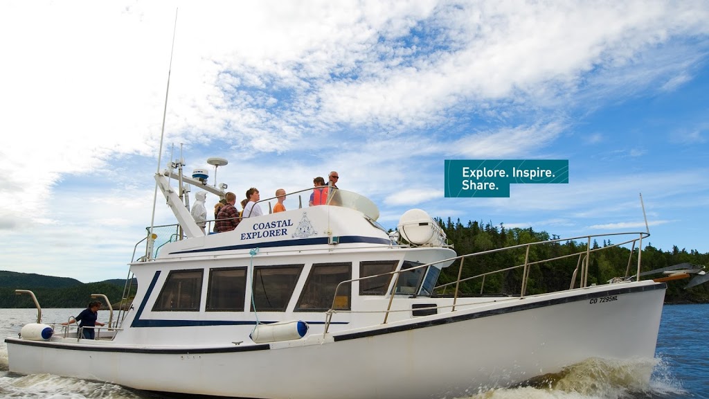 Coastal Connections | Northside Rd, Holyrood, NL A0G 2L0, Canada | Phone: (709) 730-2868