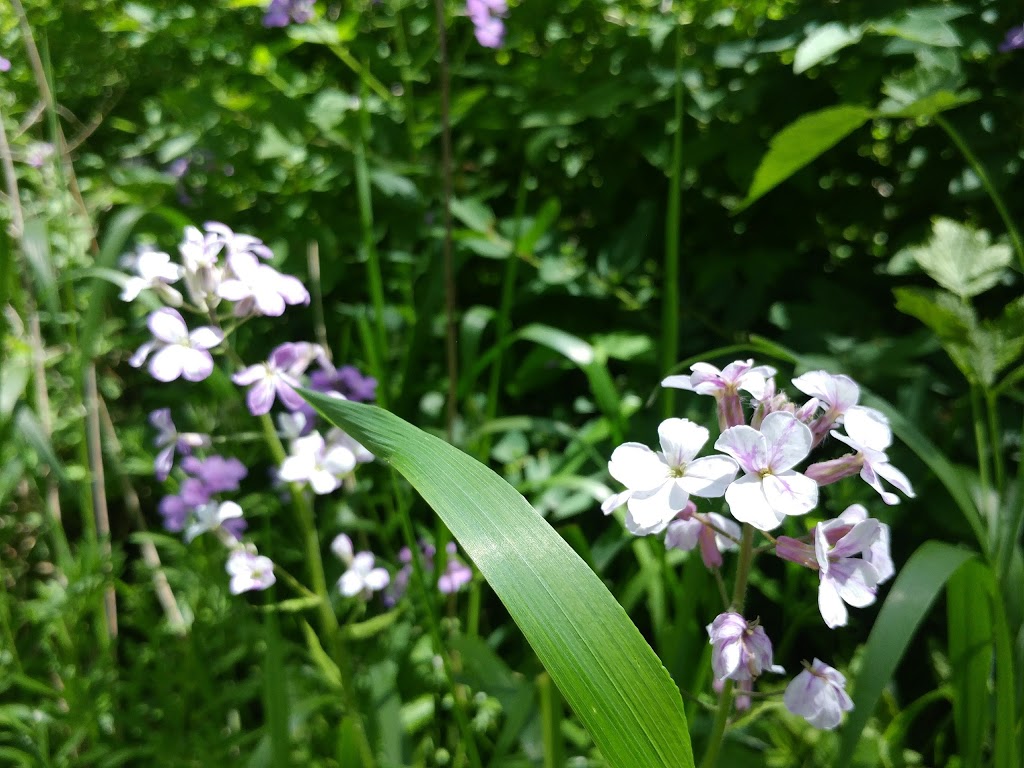 Greensville Optimist Park | Optimist Trail, Hamilton, ON L9H 5H3, Canada