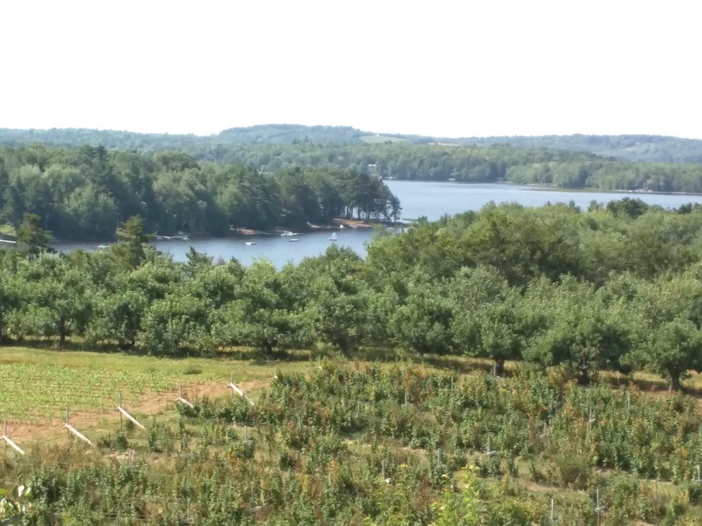 Indian Garden Farms | 15401 Nova Scotia Trunk 3, Hebbville, NS B4V 6X7, Canada | Phone: (902) 543-9899