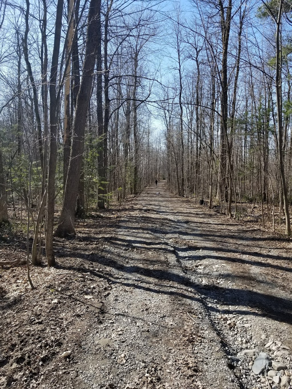 Camp de Grandpré (Anciennement Colonies Les Bosquets) | 756 Chemin des Patriotes Sud, Otterburn Park, QC J3H 1Z5, Canada | Phone: (514) 937-6171 ext. 228