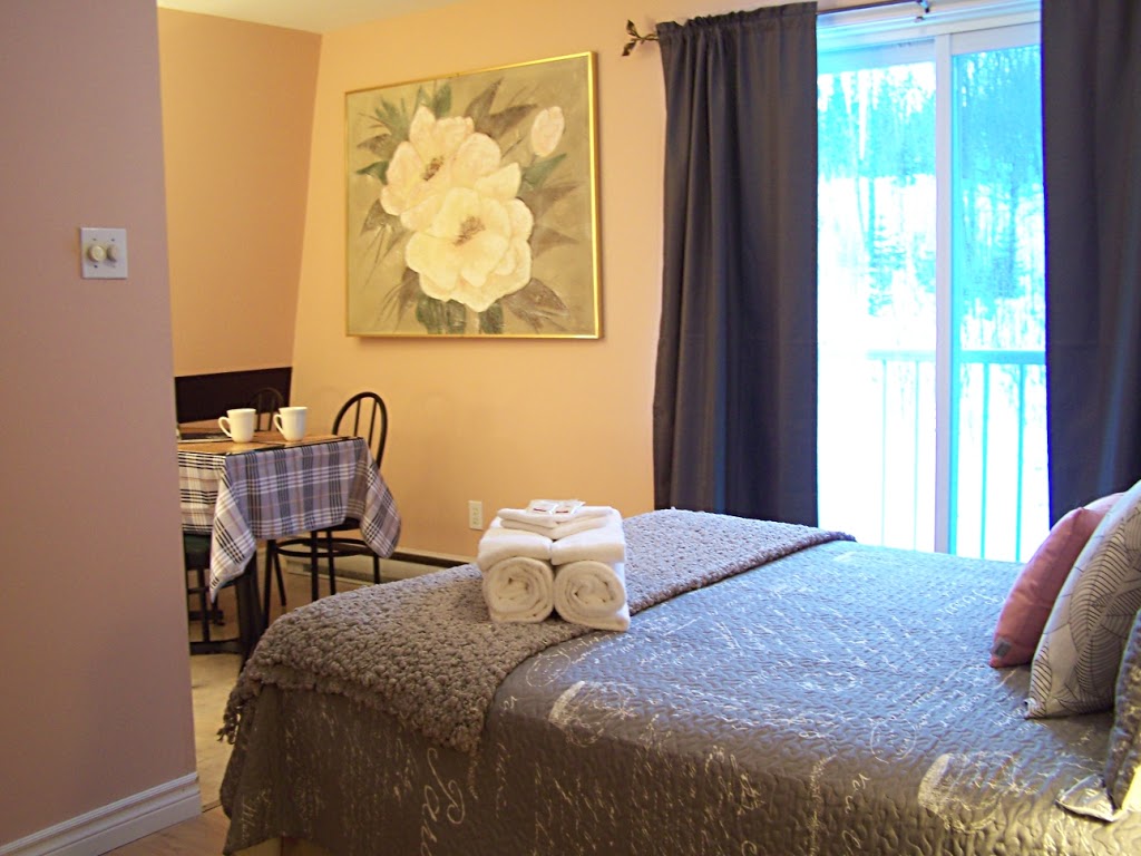Auberge les Etchemins | 1831 QC-277, Lac-Etchemin, QC G0R 1S0, Canada | Phone: (418) 625-3999