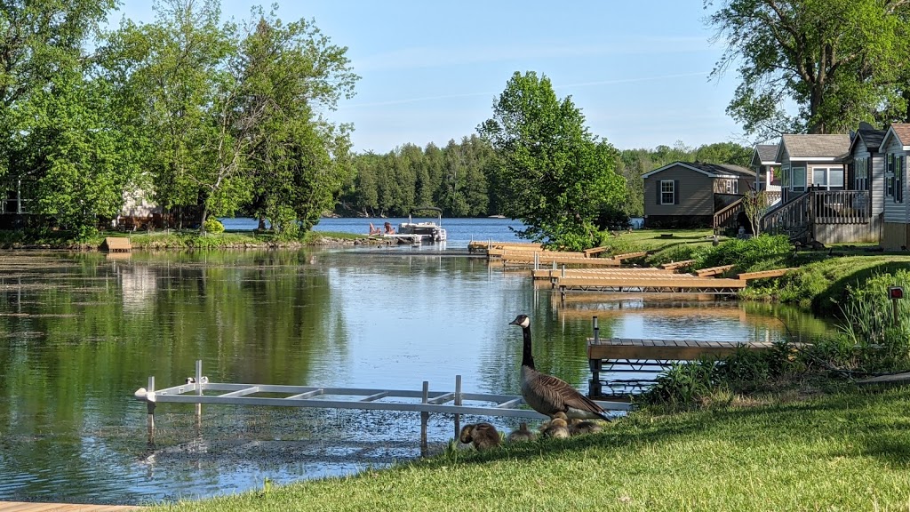 Woodland Estate Resort | 171 Woodland Estates Rd, Campbellford, ON K0L 1L0, Canada | Phone: (705) 653-3770